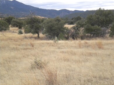 Plenty of Pasture Land