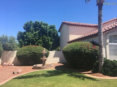 Front yard