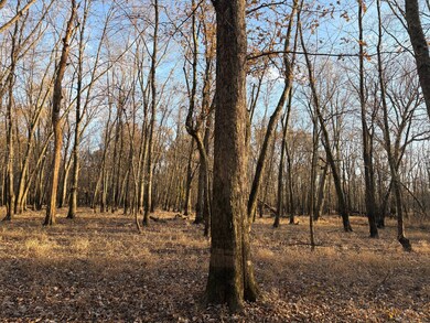 0 Levee Rd unit 11610894, Velpen, IN 47590 - photo 6