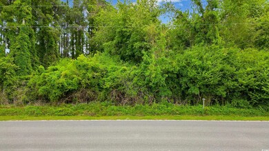 TBD Watts Rd, Loris, SC 29569 - photo 2