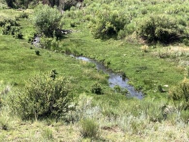 565 / 365 Marcy Ave, Westcliffe, CO 81252 - photo 5