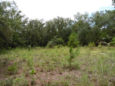 0 Hoot Owl Hollow unit 309105, Crawfordville, FL 32327 - photo 5