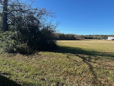 NHN Werner Rd, Picayune, MS 39466 - photo 3