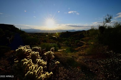 EN Lot 137 Photo 4