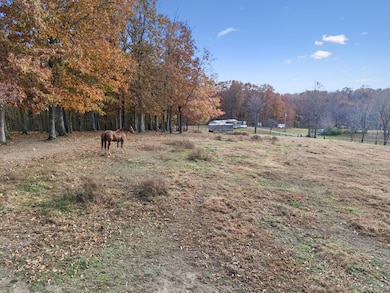 3917 Mobley's Cut Rd, Franklin, TN 37064 - photo 2