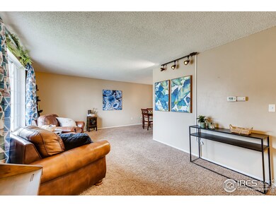 3924 E 116th Place, Thornton, CO 80233 - photo 5