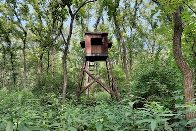 2 Timber Ridge Ln, Mansfield, IL 61854 - photo 5