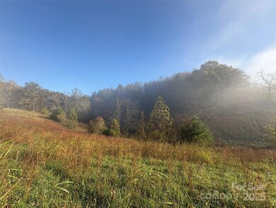 24 Bob Wright Hill Rd, Leicester, NC 28748 - photo 2