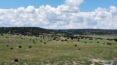 Lot 145 Quail Rd, Quemado, NM 87829 - photo 5