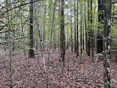 6.30 ac Mississippi 7, Water Valley, MS 38965 - photo 6