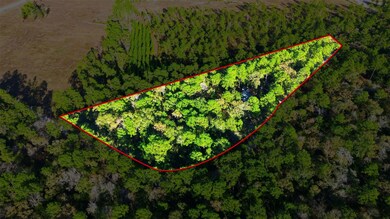 525 Bill Hales Rd, Willis, TX 77378 - photo 4