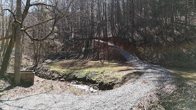 3192 Pumpkintown Rd, Sylva, NC 28779 - photo 3