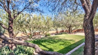 backyard 6