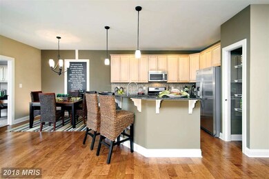 23212 Evergreen Ridge Dr, Ashburn, VA 20148 - photo 6