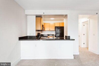 Potomac Place Tower unit S303, Washington, DC 20024 - photo 7