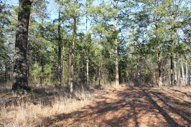 1055 Fleming Lake Ct, Lincolnton, GA 30817 - photo 2