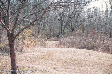IMG-0019