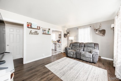 315 N Maple Ave, Roxana, IL 62084 - photo 3