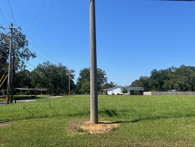 0 Bowden St, Brundidge, AL 36010 - photo 4