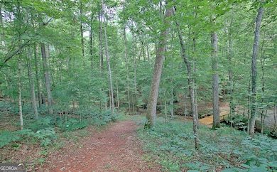 460 Morgan Mill Rd, Brooks, GA 30205 - photo 4