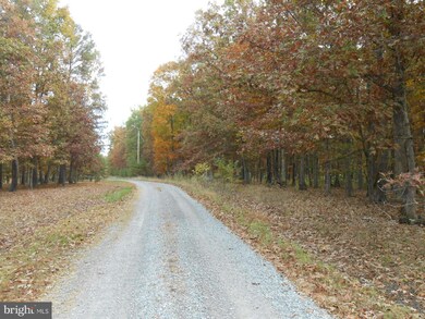 852 Plum Tree Ln, Berkeley Springs, WV 25411 - photo 7