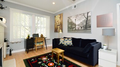 555 Elmwood Ave unit 2, Evanston, IL 60202 - photo 4