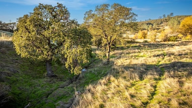 0 Faith Lynn unit 225146289, Valley Springs, CA 95252 - photo 7