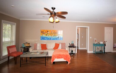 Living View-2