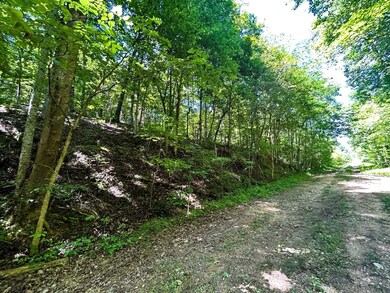 0 Charles Rd unit 22955892, Decatur, TN 37322 - photo 7