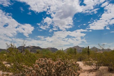 Lot View 4