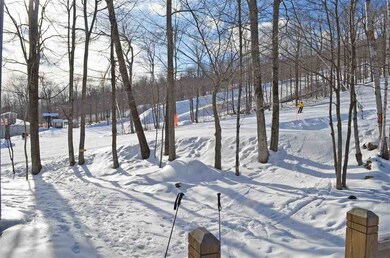 58 Harrison Ln unit K-206, Ludlow, VT 05149 - photo 4