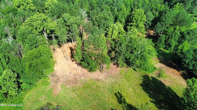 0 Robinson Springs Rd unit 4079514, Madison, MS 39110 - photo 3