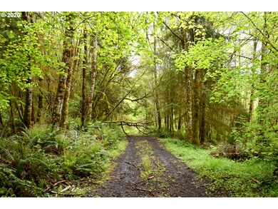 0 Slide Creek Rd unit 20124249, Longview, WA 98632 - photo 4