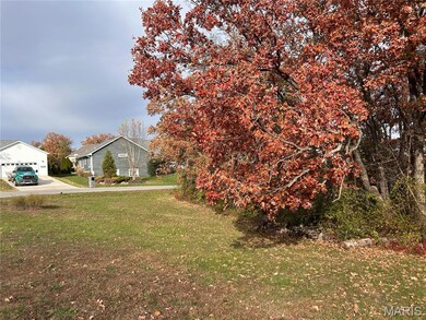 Lot 81 Village Ln, Hickory Grove Township, MO 63348 - photo 4
