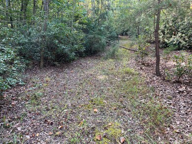 Trails