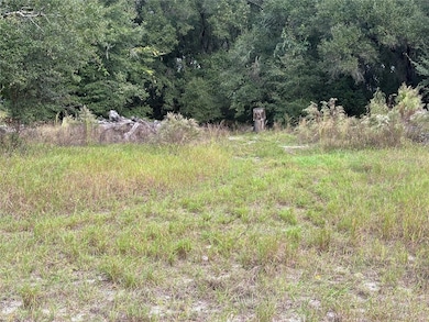 3427 Golden Gem Rd, Apopka, FL 32712 - photo 6