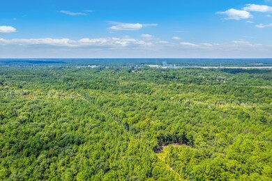 2 Shadow Pond Rd, Johns Island, SC 29455 - photo 7