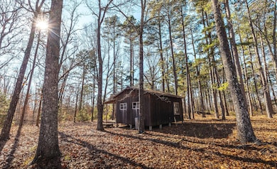 000 Deason Drive-Tract 1, Licking, MO 65542 - photo 6