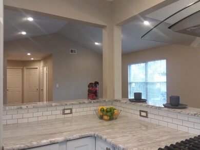 703 orchid kitchen 5