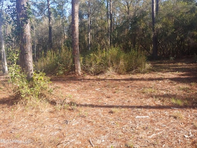 Nhn Crazy Horse Dr, Kiln, MS 39556 - photo 2