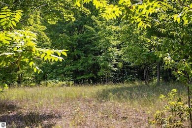 0 S Hill Rd, Cedar, MI 49621 - photo 4