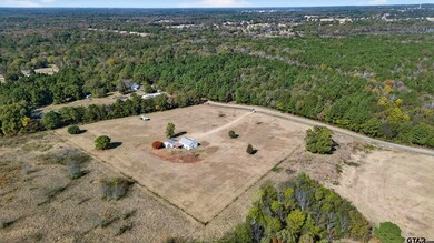 20767 County Road 419, Tyler, TX 75704 - photo 4