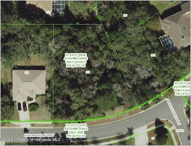 0 Echo Mountain Dr unit 2240557, Hudson, FL 34667 - photo 2