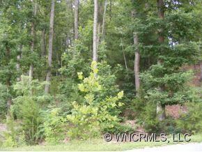 85 Baton Ln unit 17, Hendersonville, NC 28792 - photo 3