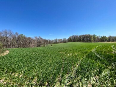172 Acres Spears Rd, Scottsville, KY 42164 - photo 6