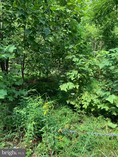 906 Ithaca, Winchester, VA 22601 - photo 5