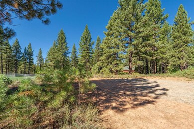 11308 Wolverine Cir, Truckee, CA 96161 - photo 6