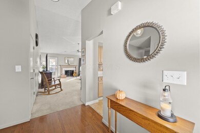 2-web-or-mls-DSC00855