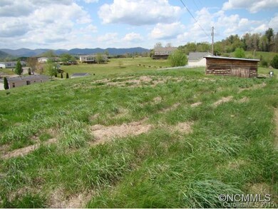 44 Frank Lawson Ln, Leicester, NC 28748 - photo 2