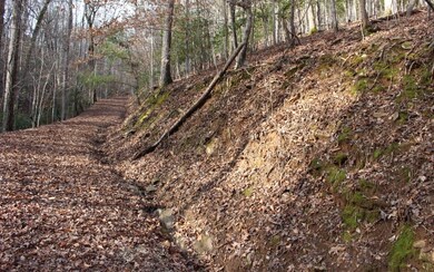 Additional View